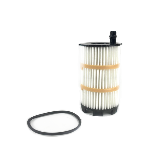 Genuine VW/Audi | Oil Filter 079-198-405-E
