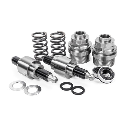 APR High Pressure Fuel Pumps - S5 4.2L V8 (Pre Nov 2008)