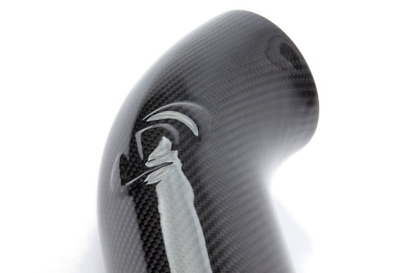 Dinan Cold Air Intake - 1999-2001 BMW 740i Carbon Fiber - E38