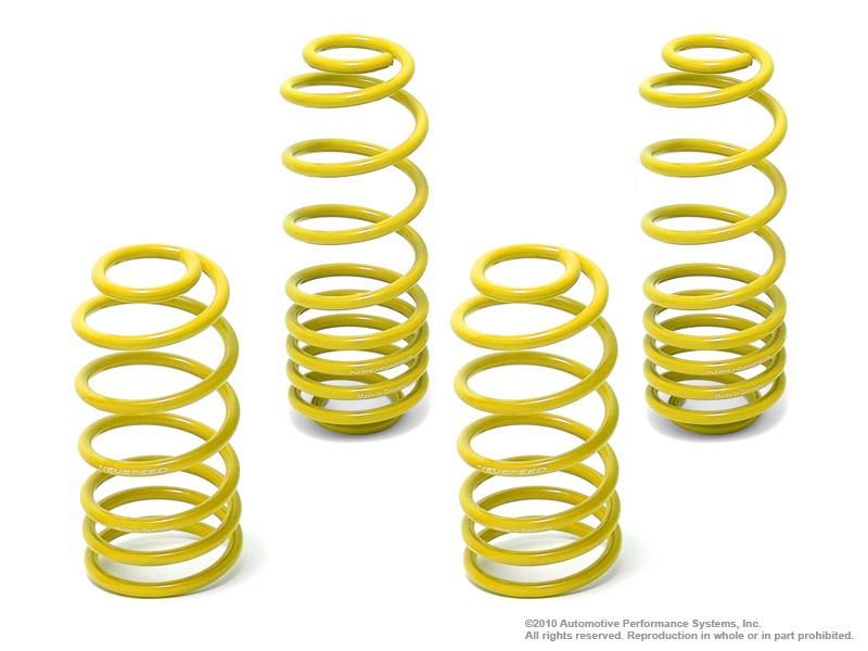 Lowering Springs Kit | Race • 2.8L Golf/Jetta Mk4