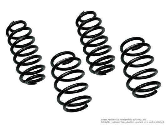 NEUSPEED Lowering Springs Kit - Race [sku] - NEUSPEED
