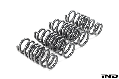 MMX Performance G90 / G99 M5 Lowering Spring Set