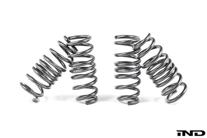 MMX Performance G90 / G99 M5 Lowering Spring Set