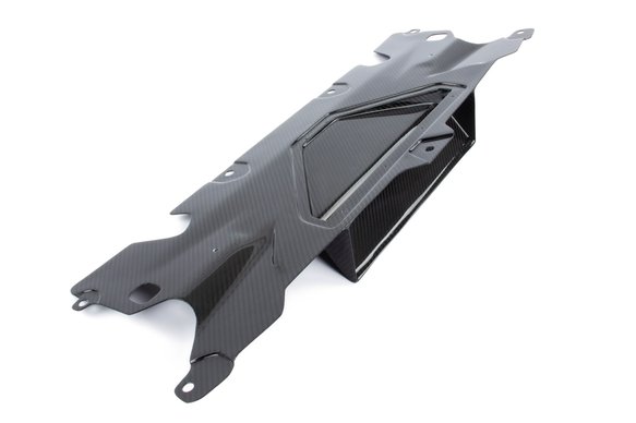 Dinan Cold Air Intake - 2018-2023 BMW M5 Carbon Fiber - F90