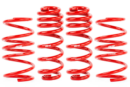 APR Roll-Control Lowering Springs - MK8 GTI