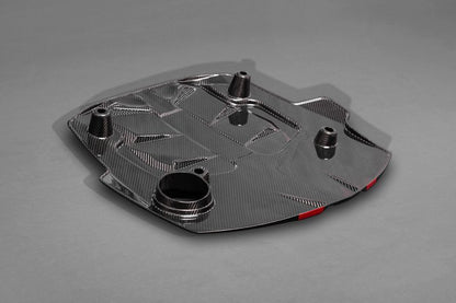 Audi RS5 (F5) - Carbon Fiber Engine Cover + Lock Cover (Set)