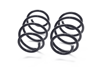 MMX Performance MINI F-Chassis Lowering Spring Set