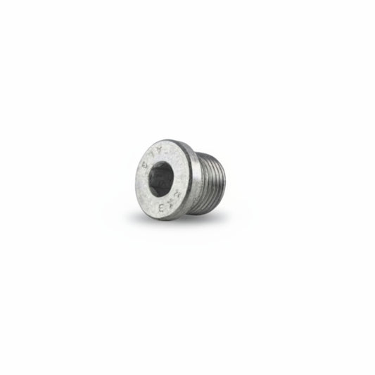 Genuine VW/Audi | Drain Plug | N10037105