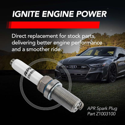 APR Ignition Coil & Spark Plug Kit (4.0T EA824 8-cylinder engines)