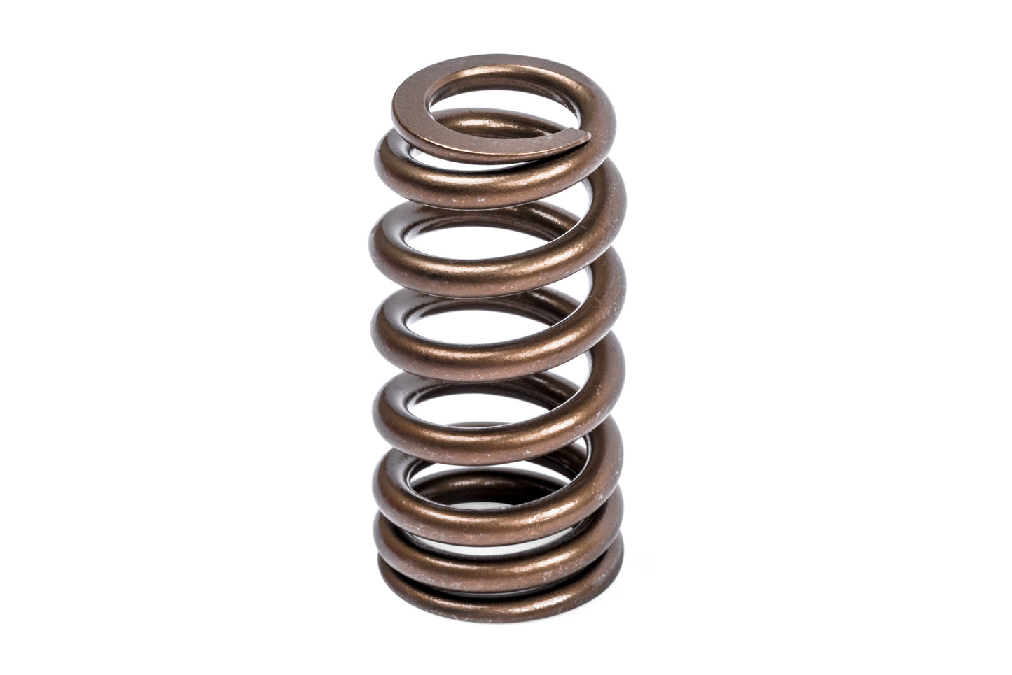 APR Valve Spring Kit (1 Set)
