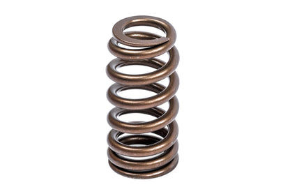 APR Valve Spring Kit (1 Set)