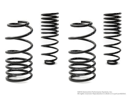HS Tuning NEUSPEED sport lowering springs kit for VW Passat B3 in black finish, made in Germany