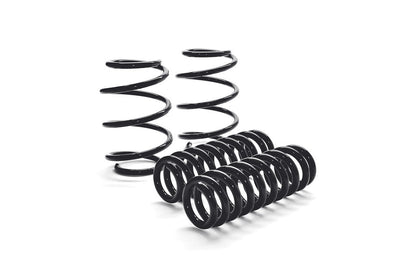 MMX Performance MINI R56 JCW GP2 Lowering Spring Set | 30mm Drop