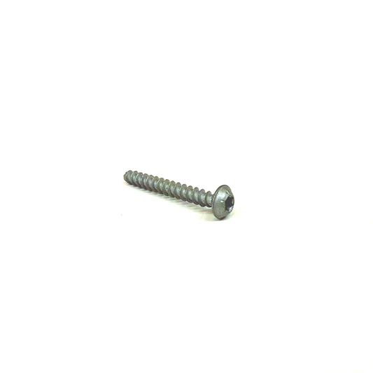 Genuine VW/Audi N-106-261-01 intake screw showing low-profile internal-drive head and thread-forming shaft