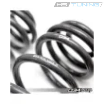 Dynamic+ Lowering Springs for B9/B9.5 Audi S4/S5/RS5 - Image 2